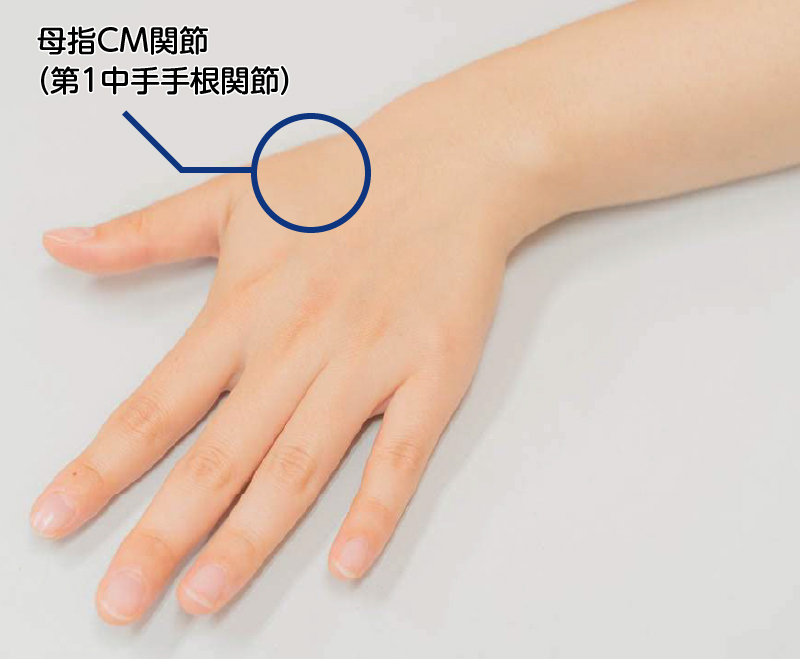 母指CM関節（第1中手手根関節）