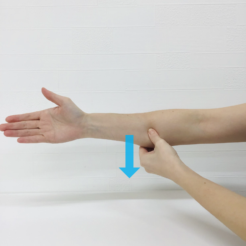 前腕（肘〜手首の間）の小指側の筋肉を反対の手でつまみます。筋肉を矢印の方向に少し引っ張るようにしながらマッサージします。少しずつ引っ張る場所を変えながら、全体的にマッサージします。この時、肘を曲げた状態でしても構いません。