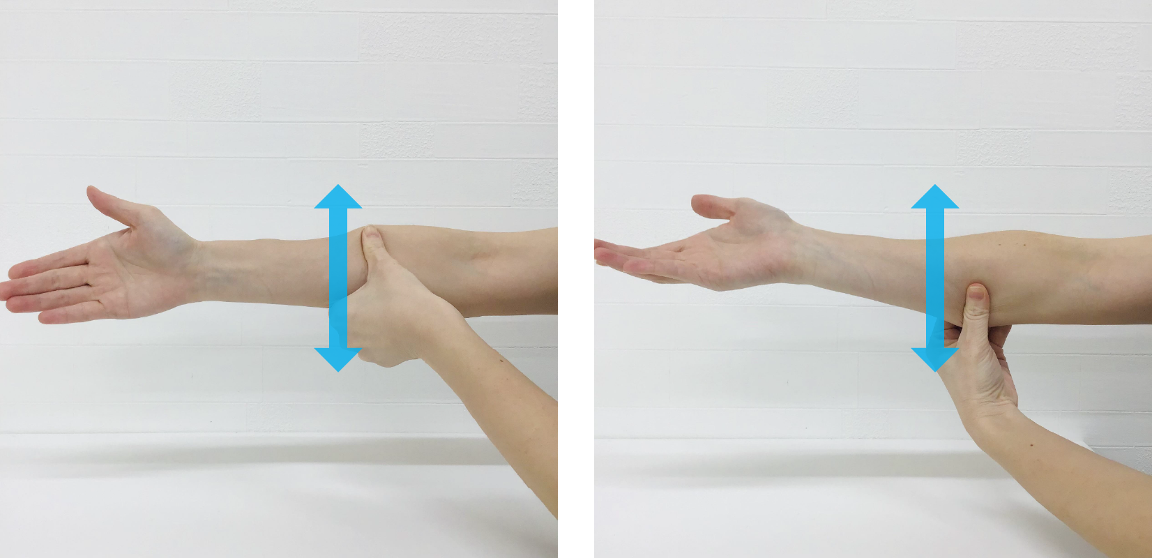 写真のように、前腕の手のひら側に反対側の親指を当てます。親指で軽く筋肉を圧迫しながら、矢印の方向に動かすようにしてマッサージします。少しずつ場所を変えながら、全体的にマッサージします。