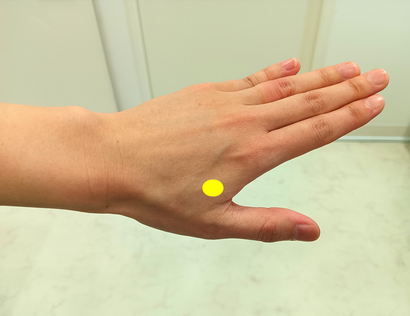 合谷(ごうこく)