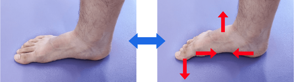 足の指を曲げるというより地面に押し付けるイメージで足のアーチを引き上げます。