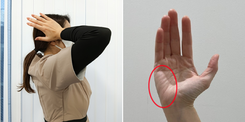 両手を軽く広げて、小指球（手のひらの小指の付け根の盛り上がっている箇所）をこめかみの下あたりに当てます。