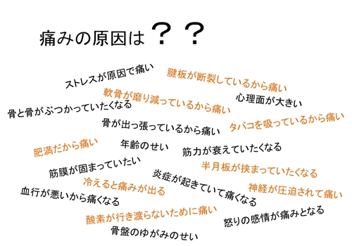 体の痛みの原因となるもの