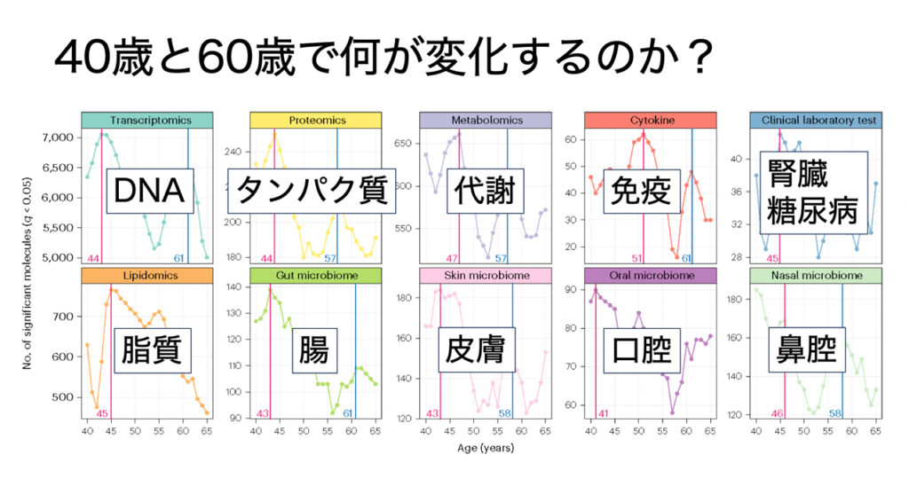 老化は一律にすすむわけではない