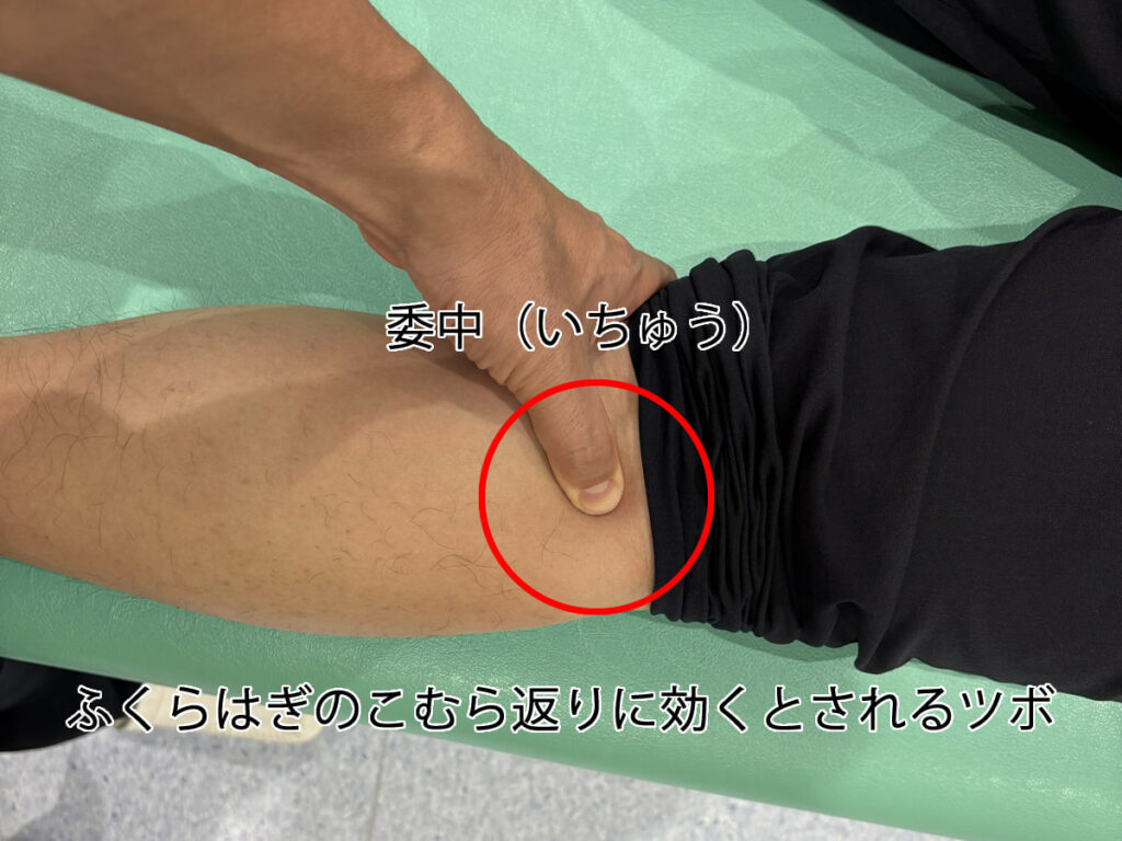 委中（いちゅう）ふくらはぎのこむら返りに効くとされるツボ